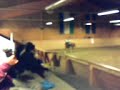 Här är när jag rider nypondressyr, programmet L:C 1 på hästen Red Amelie på Ås ridskola den 29 okt.