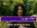 pashto music Naghma-PashtanaPighla new Album -afghanchaman