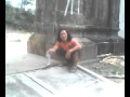 BINGONG S HERI.3gp