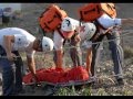 SALVAMENTO Y SOCORRISMO HENRY DUNANT