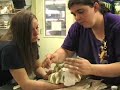Bird Clipping Tips Bird Clipping Tips