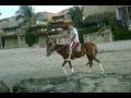 MANCORA, PIURA-PERU, AGENCY TRAVEL CORPORACIONCYD
