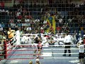 Paulo-Manzini-Forja-