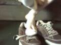 Teen Boy Sneaker and Sock Strip