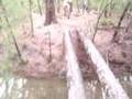 Mountain Bike Crash at Oleta