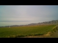 Enigma.wmv