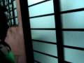videos de 17 028