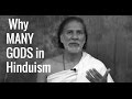 Many Gods in Hinduism? The Deva & Devis of Hindu Culture - Acharya Shree Yogeesh
