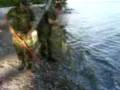 videos de Kapsoni o Cobras