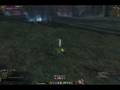 Garin meets Saytan + Roc Quest(2008-11-7怪鳥ロック)