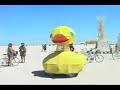 burning man 06