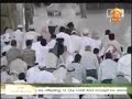CAT TOUCHES KAB\