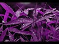 atb - too much rain