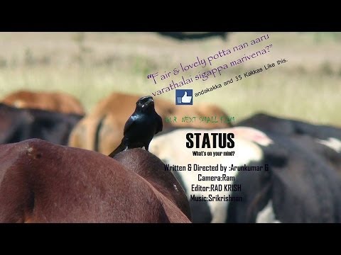 Status Short film short film Status Short film short film