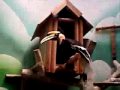 videos de Great Hornbill, Buceros Bicornis