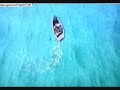 Pirates who don\