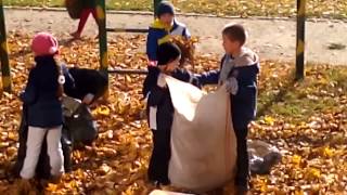 Осіння толока. Сокаль