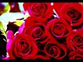 nurettin bay g�l fidan