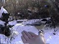 Chickadees Join Pangea Day Chickadees Join Pangea Day