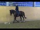 Tribue to cowboy Tribue to cowboy