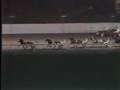 Breeders Crown 1984 2YRCP