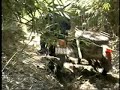 bush runner bush runner
