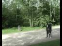 Voobiscum Satanas (Filmprod v08 del 2 av 2) Voobiscum Satanas (Filmprod v08 del 2 av 2)