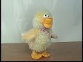 Kaczor dance
