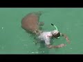 dugong loves lidy