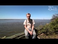 Cumberland Island National Seashore in St. Marys ...
