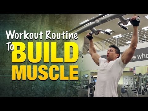 how to build back muscle