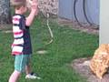 videos de Backyard BBQ - France 08