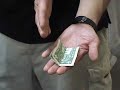TorugaMagic - Animated Dollar