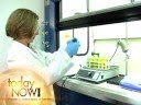 The Onion: Disney Geneticists Debut New Child Stars