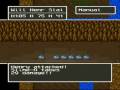 videos de Dragon Quest V 029