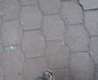 mis Pies fenomenoides