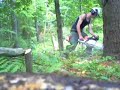 Stihl MS-441 Magnum fells pine tree please comment