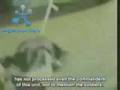 World Muslim responds the Srebrenica Massacre