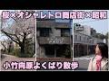 お洒落➕レトロ🟰オシャレトロな街、小竹向原でお花見～前編