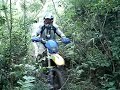 Novos Talentos 13