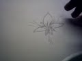 Drawing Lesson 2/20 - How to draw a simple flower (b) Drawing Lesson 2/20 - How to draw a simple flower (b)