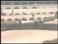 阪神障害ステークス・春 1989年 メジロゴスホーク