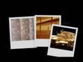 Submitted by Diane Smith at Pratt Institute - Click to enlarge + vote