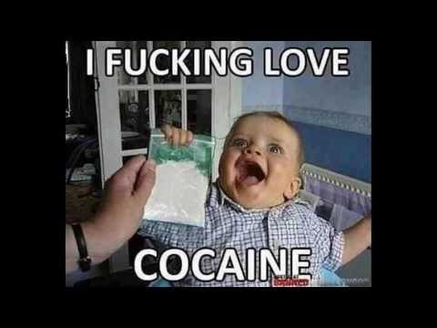 Funny foto compilation 2013