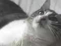 no seee