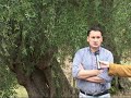 Un contributo per la sistemazione degli elementi del paesaggio agrario Un contributo per la sistemazione degli elementi del paesaggio agrario