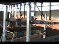 Dessy and Fabrianna r working good..wmv