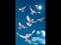 Bo, Ruach Elohim(Come, Spirit of God)