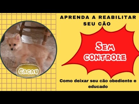Tudoem Ilhabela