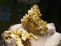 El Fuego Gold Specimen